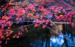 羞羞漫画在线无限阅读币在线观看